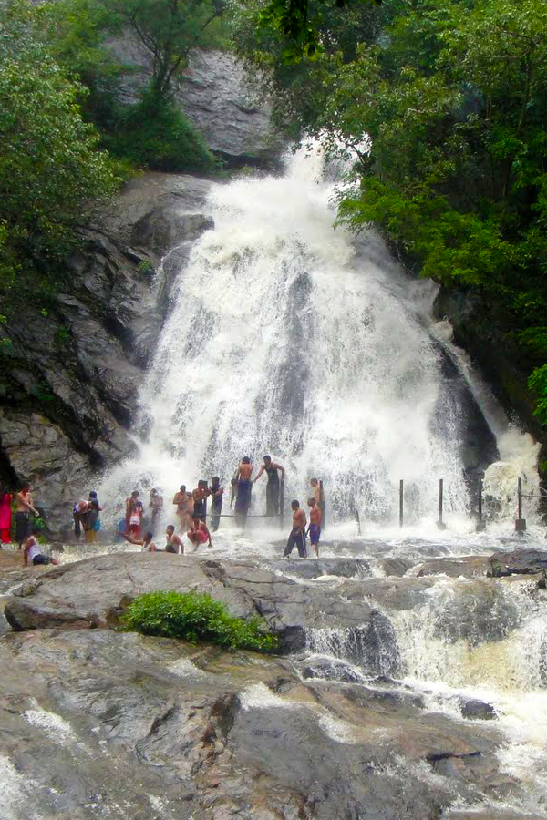 Monkey Falls – Scenic Waterfall on the Pollachi–Valparai Road near Aliyar Dam Monkey Falls waterfall on Pollachi–Valparai road near Aliyar Dam